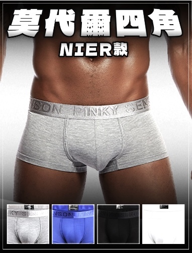 莫代爾產品圖1
