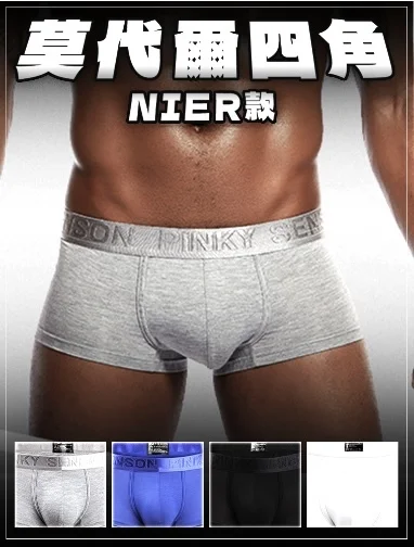 莫代爾產品圖1